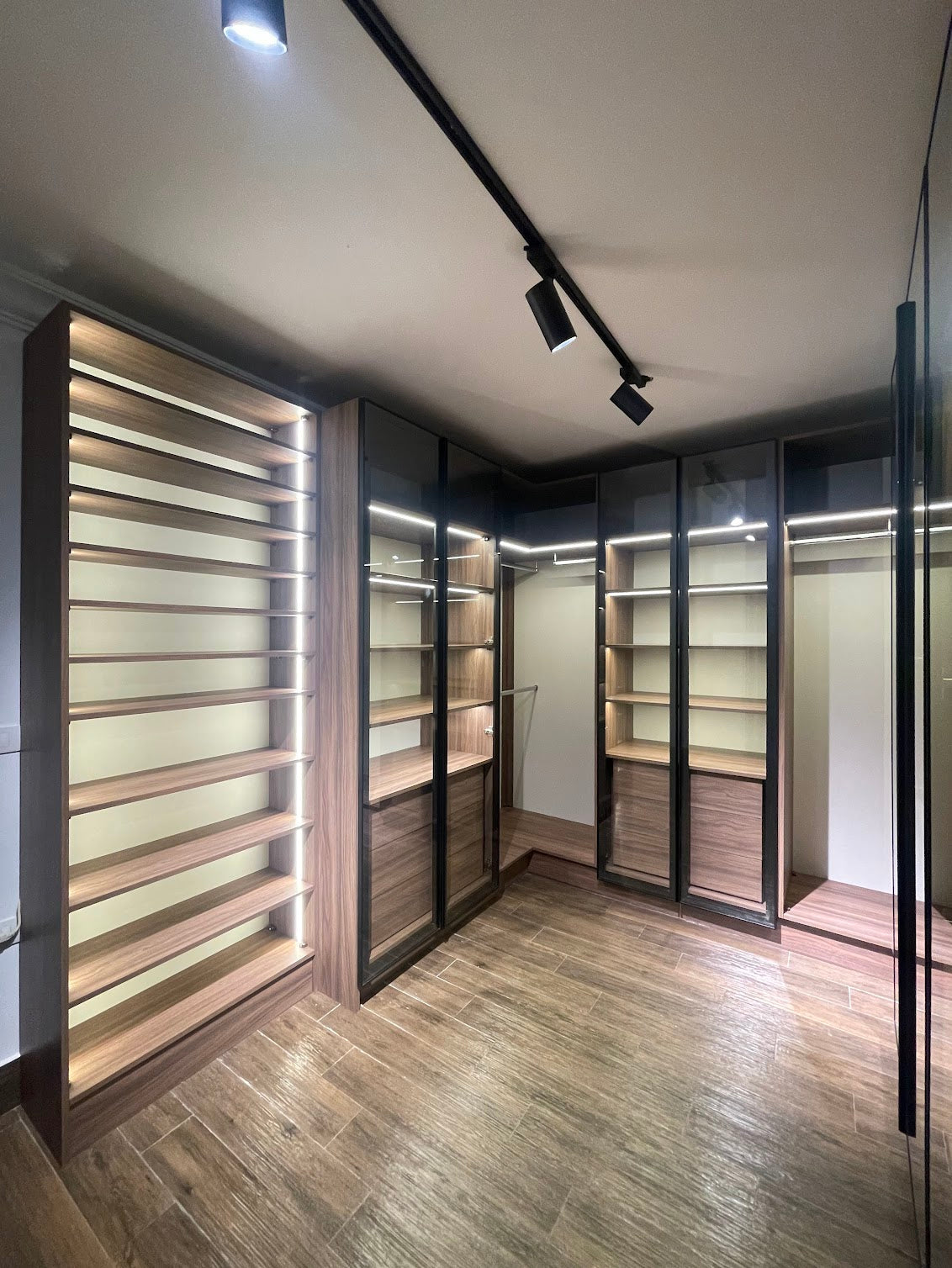 Dark modern Dressing room with Aluminum doors