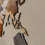 Wooden World Map 120 cm / 47"